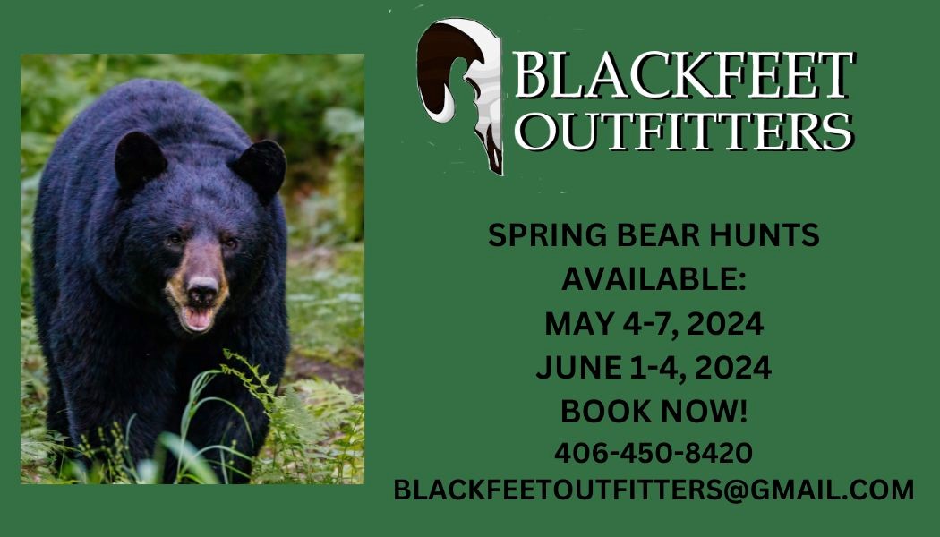 Blackfeet Outfitters Spring Bear