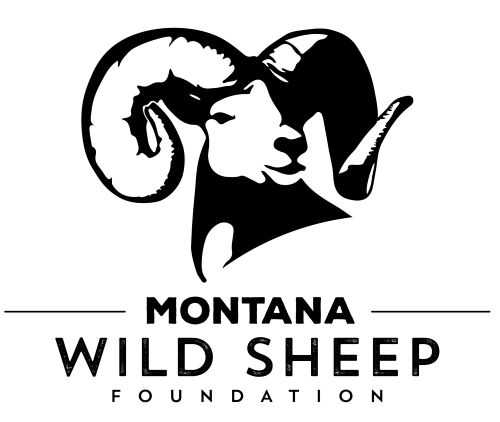 MT Wild Sheep Foundation