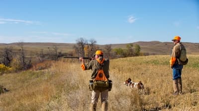 Forrester Bighorn River Resort