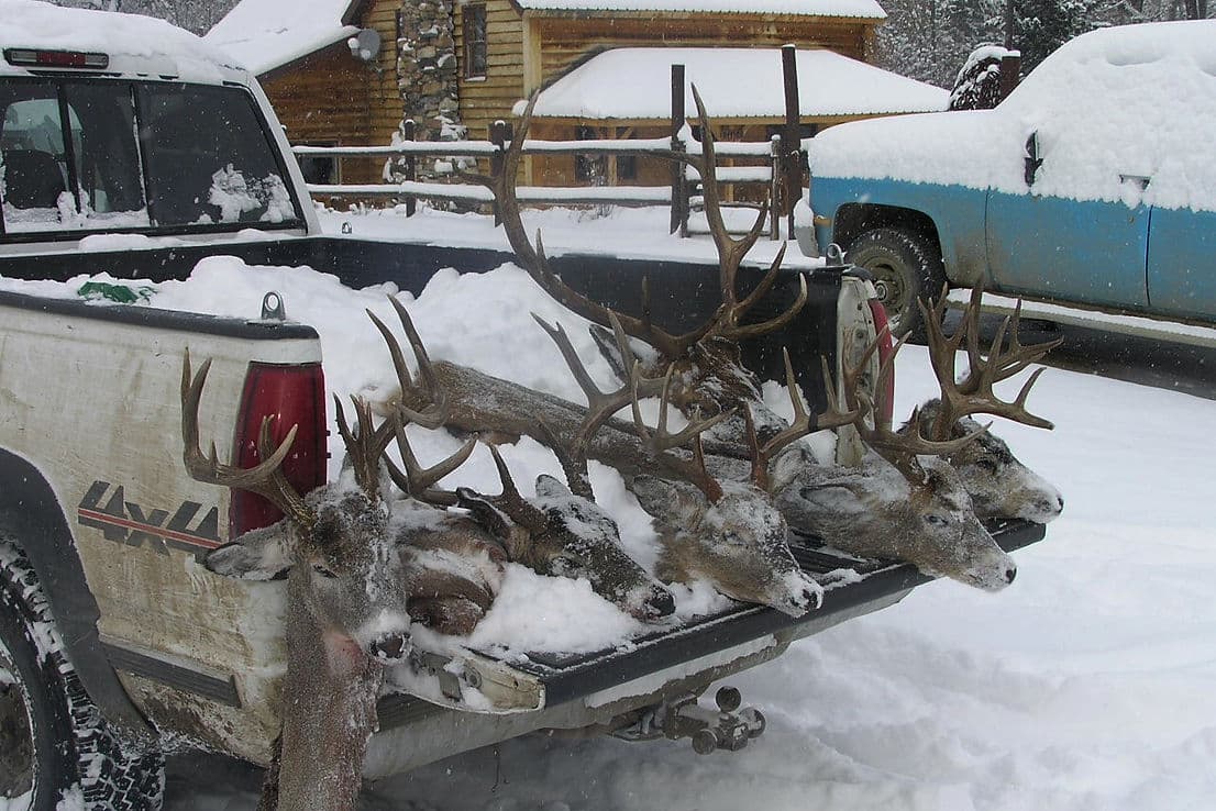 Simpson Outfitters