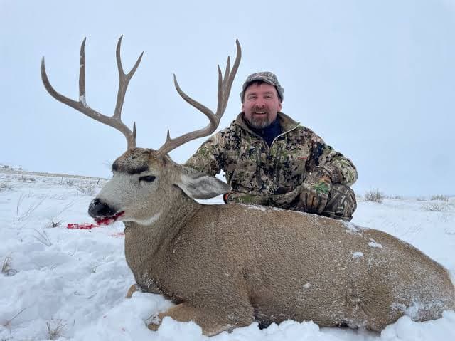 Harris Hunts