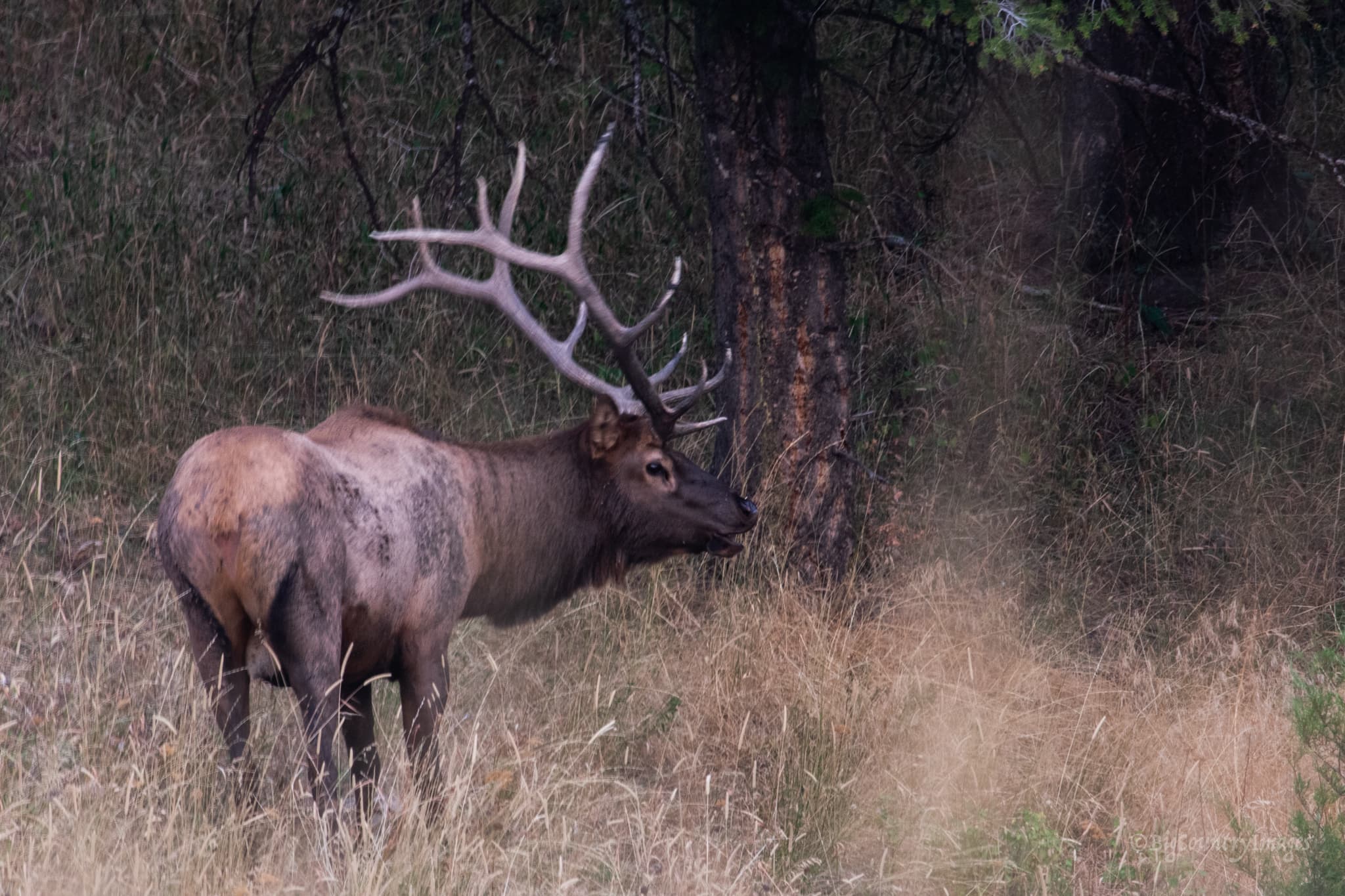 Six Rack Outfitters