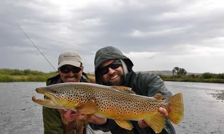Montana Angler Fly Fishing