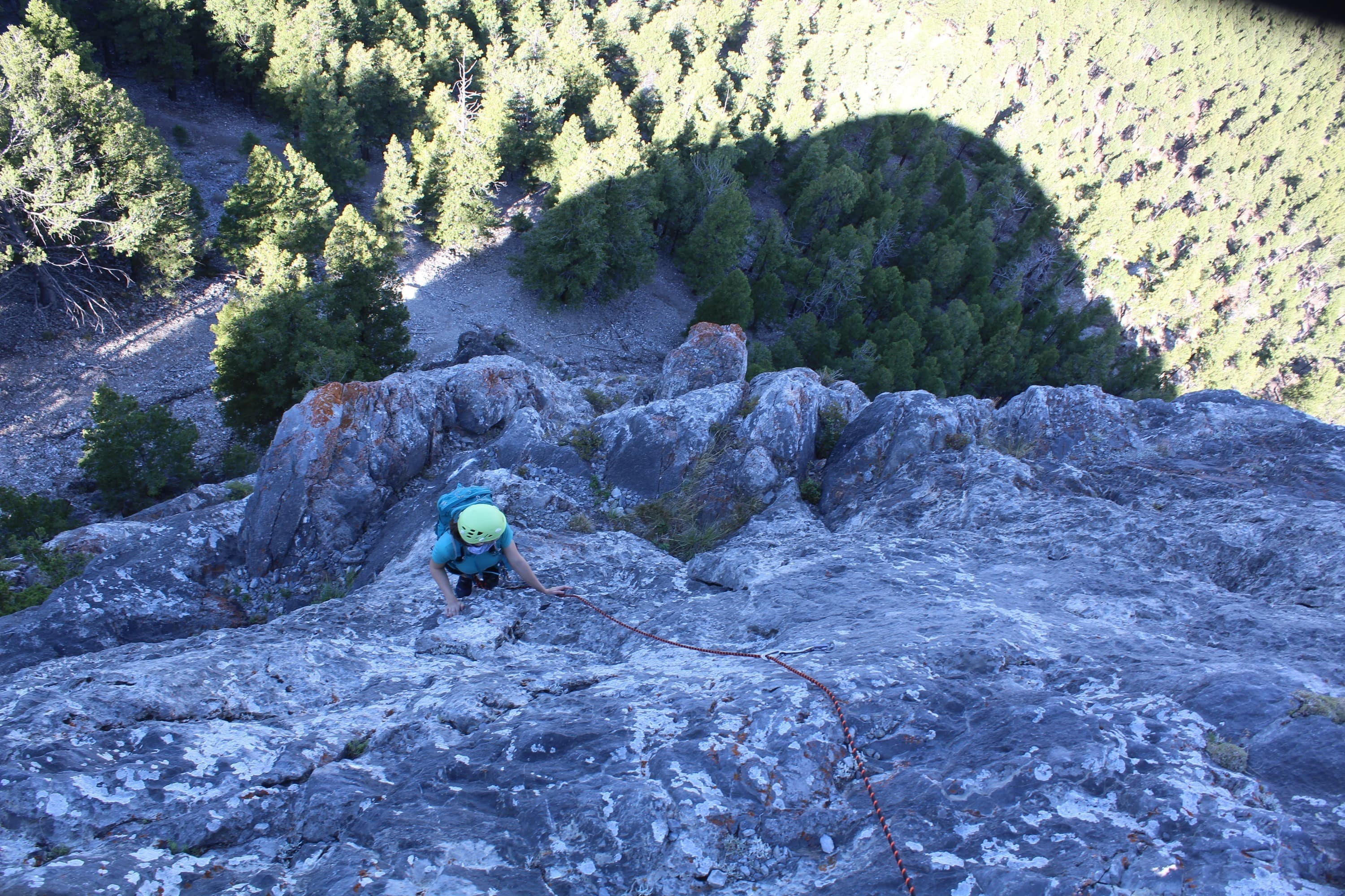 Mountain Specialists LLC