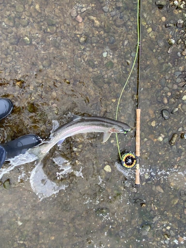 Cross Currents Fly Shop & Outfitters