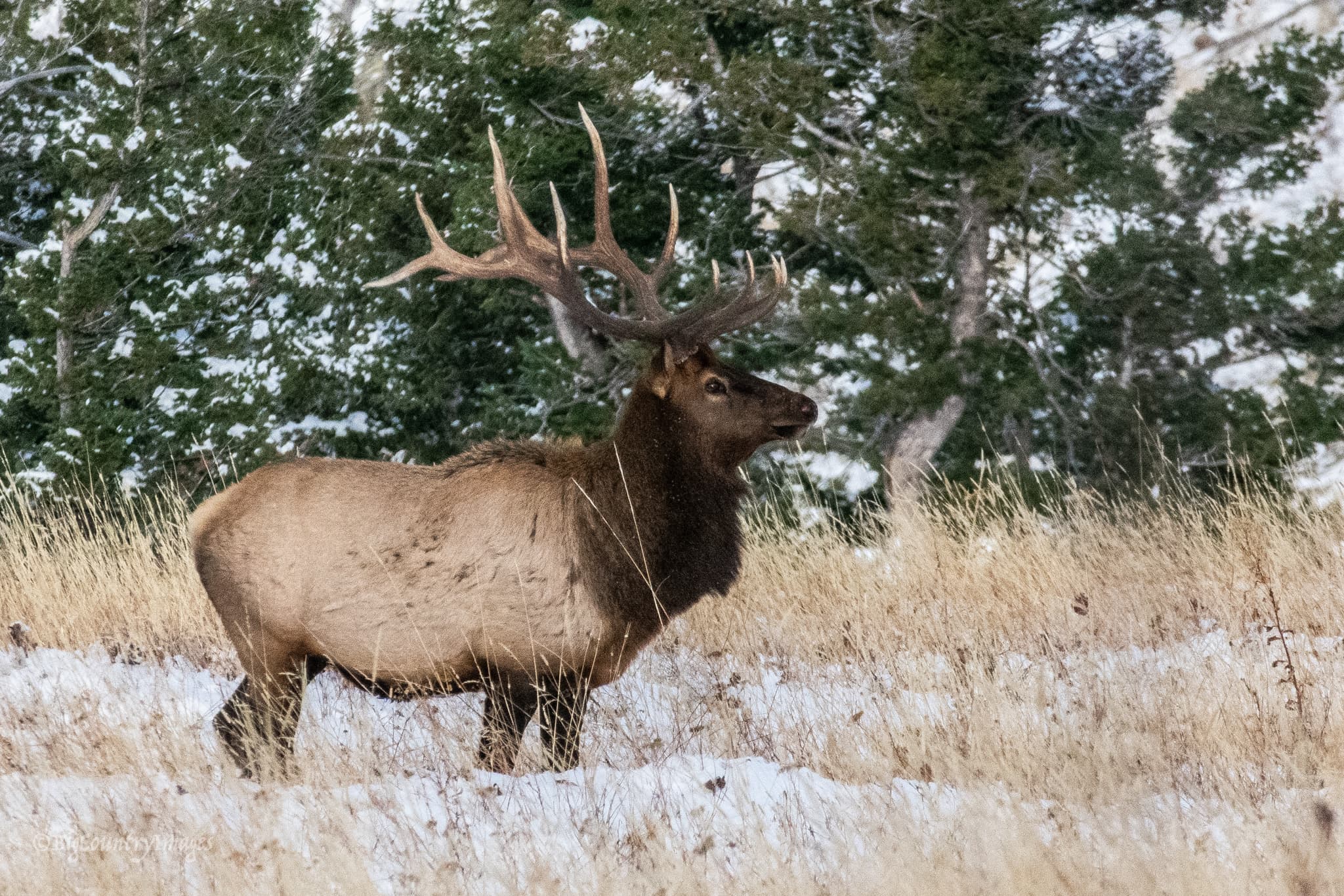 S and W Outfitters
