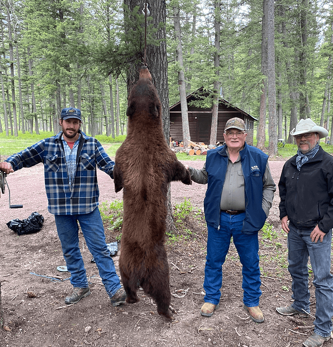 Diamond R of Spotted Bear