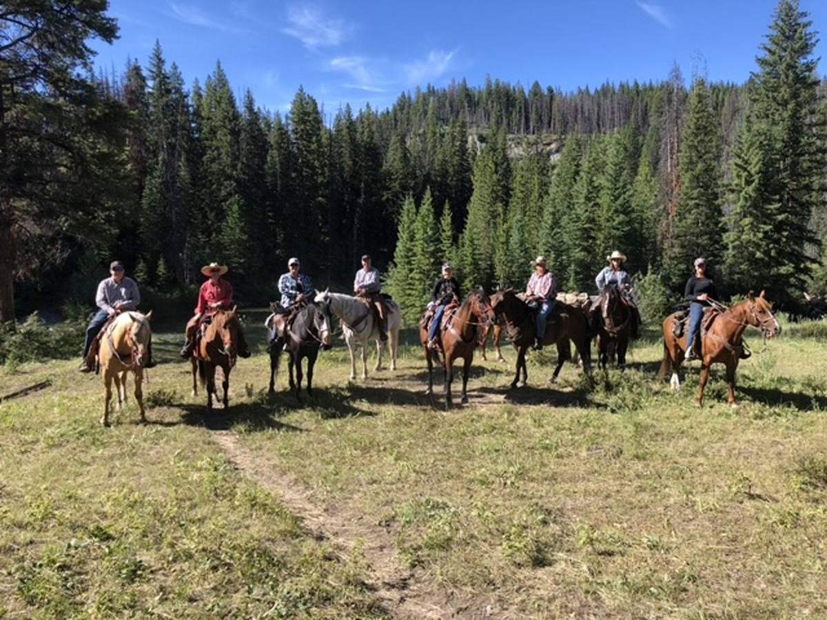 Montana Safaris