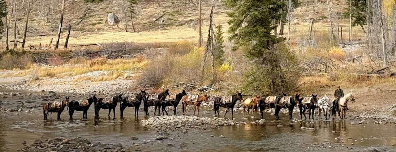 Black Mountain Outfitters, Inc.