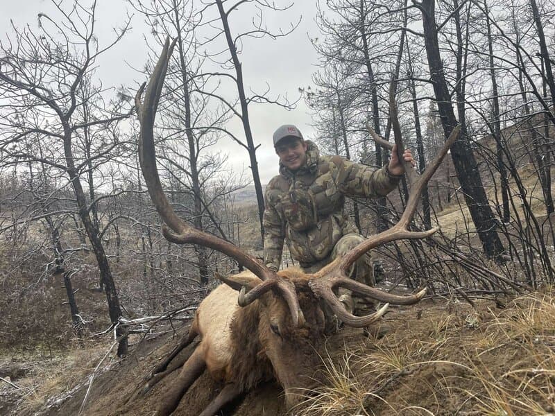 D3 Outfitters