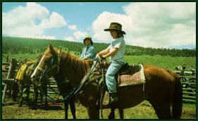 Jake’s Horses, Inc.