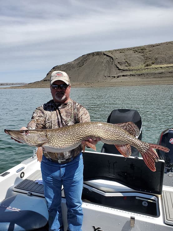 Reel Therapy Charter Fishing