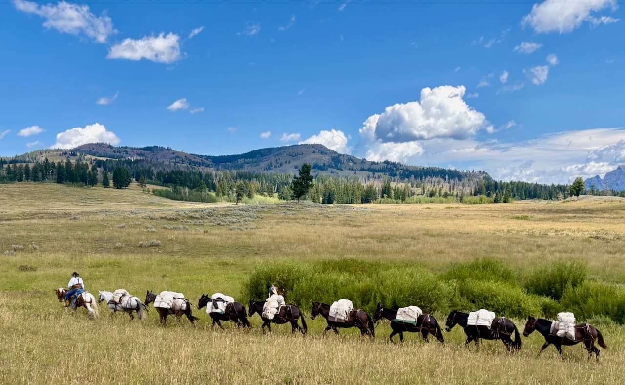 Black Mountain Outfitters, Inc.