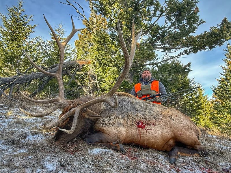 Montana Whitetails