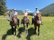 Bear Paw Mountain Outfitters