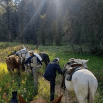Bear Trap Outfitters