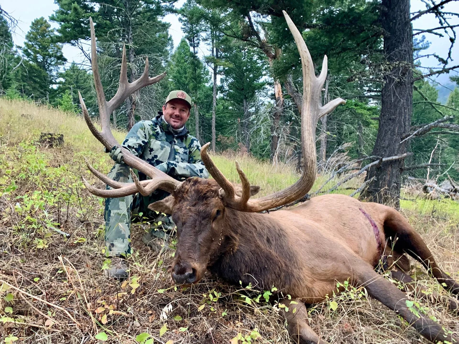 Montana Elk and Trout