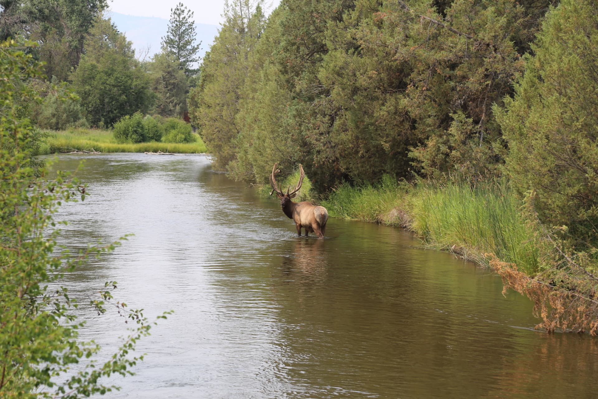 Crazy Creek Outfitters