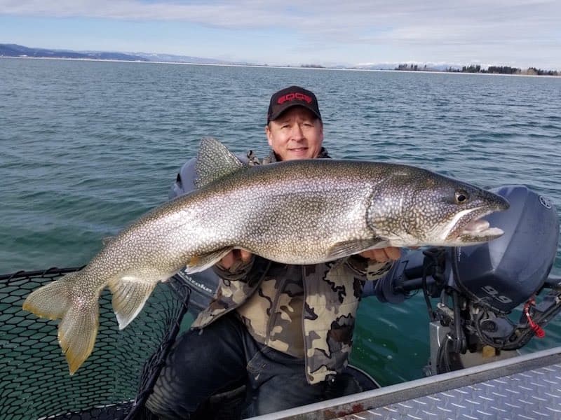 Western Timberline Outfitters