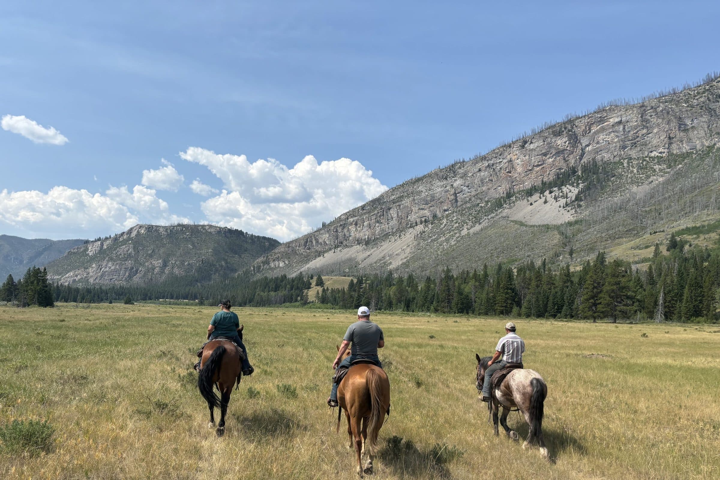 Riders on horseback crossing a mountain meadow in the Montana backcountry