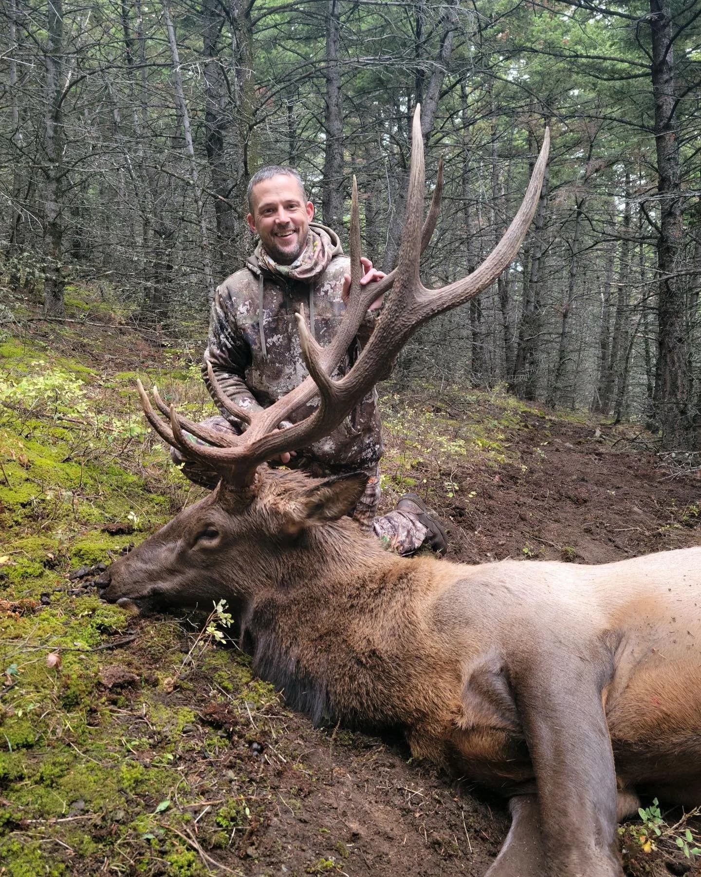 Ever thought about hunting elk in Montana??? This post is your sign to make it a reality. Come hunt elk with us in big sky country!!! #twobearoutfitters #montana #elk #hunt