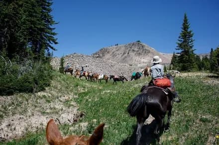 Specimen Creek Outfitters