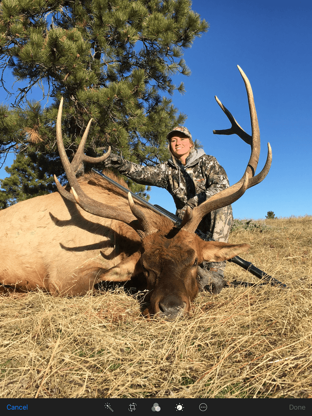Broken Arrow Outfitters / Solomons 380s