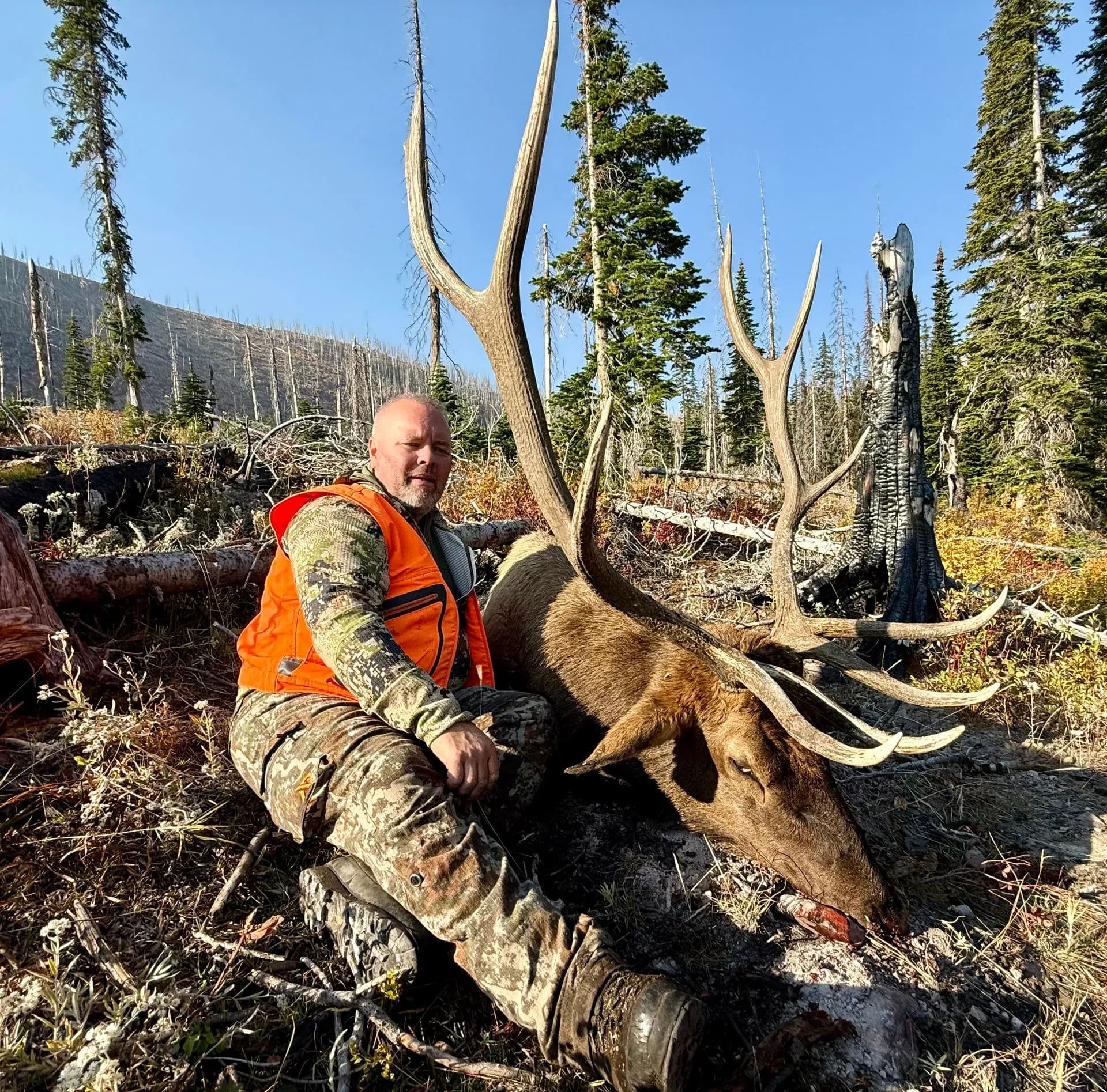 Bob Marshall Wilderness Outfitters