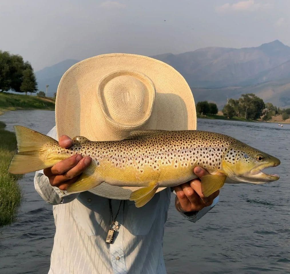 Paradise Valley Angler