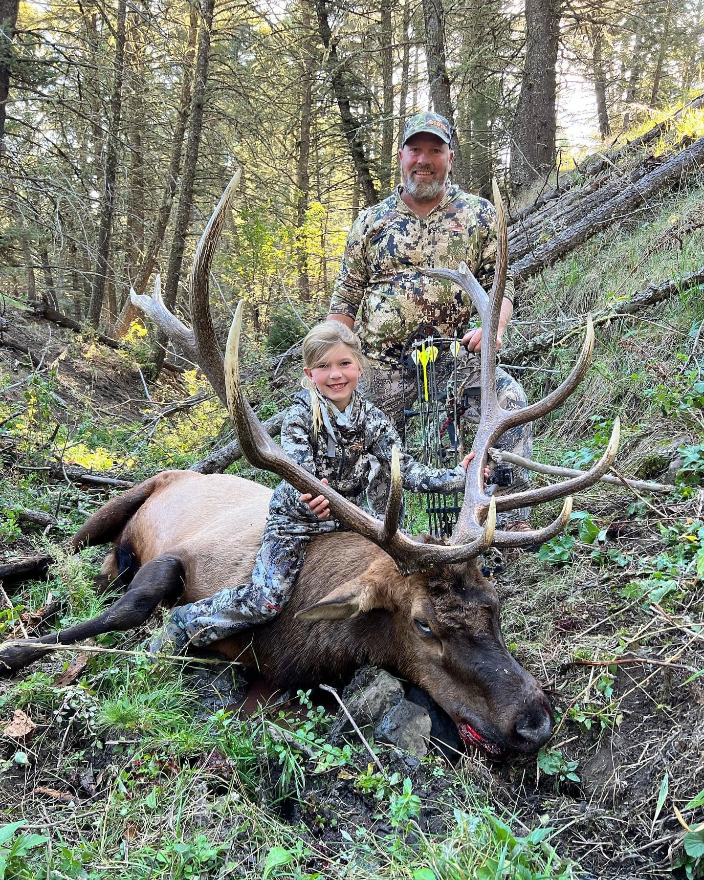 Montana Elk and Trout