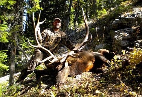 Hunting Deer