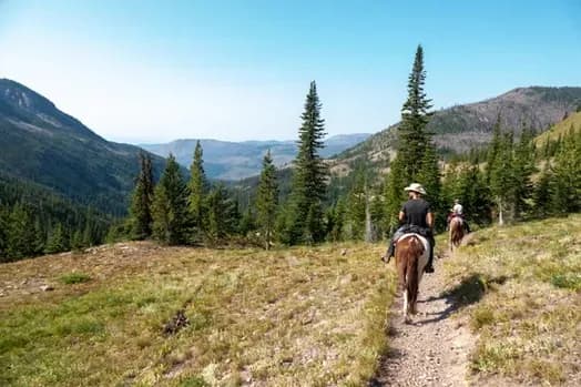 Bob Marshall Wilderness Outfitters