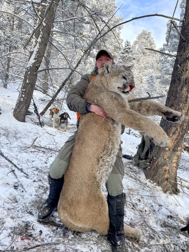 Montana Mountain Lion Adventures