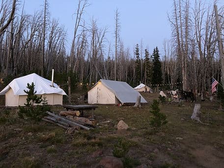 IMG_6338.jpg