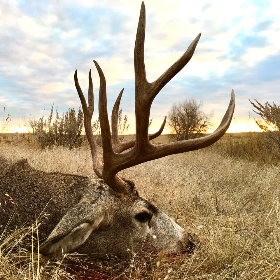 Rafter M Hunting Company