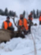 Montana Elk, Rifle