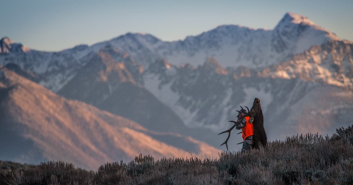 Bull Basin Outfitters