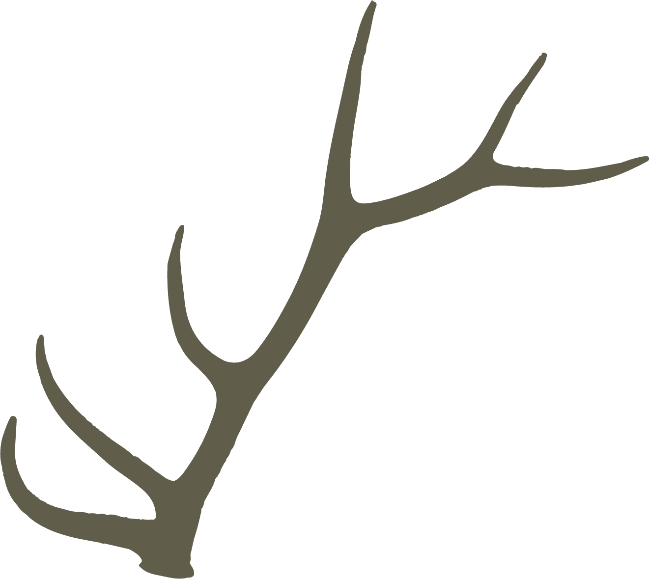 Timber Mountain Outfitters LLC