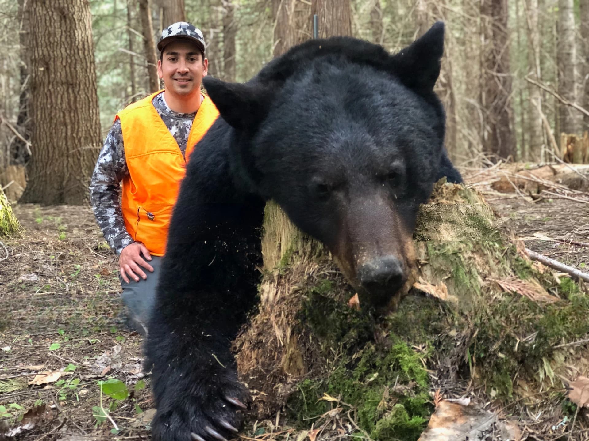 Wayne Hill Outfitting