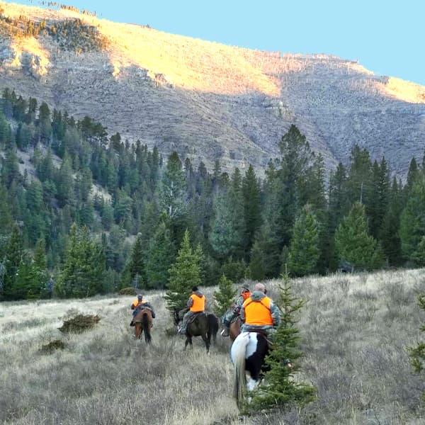 Beaver Creek Outfitting