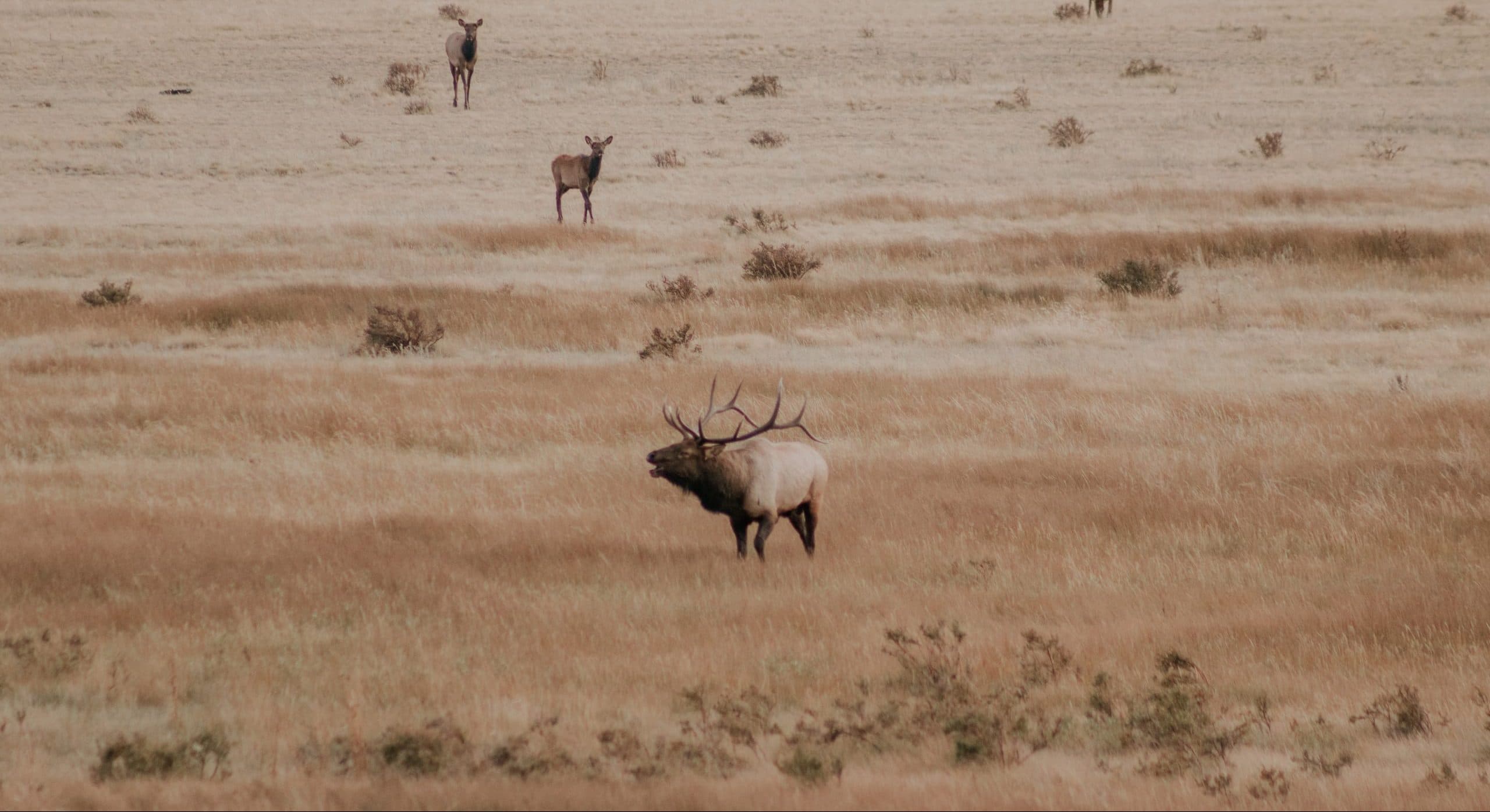 J and J Guide Service / Living the Dream Outdoors, LLC.