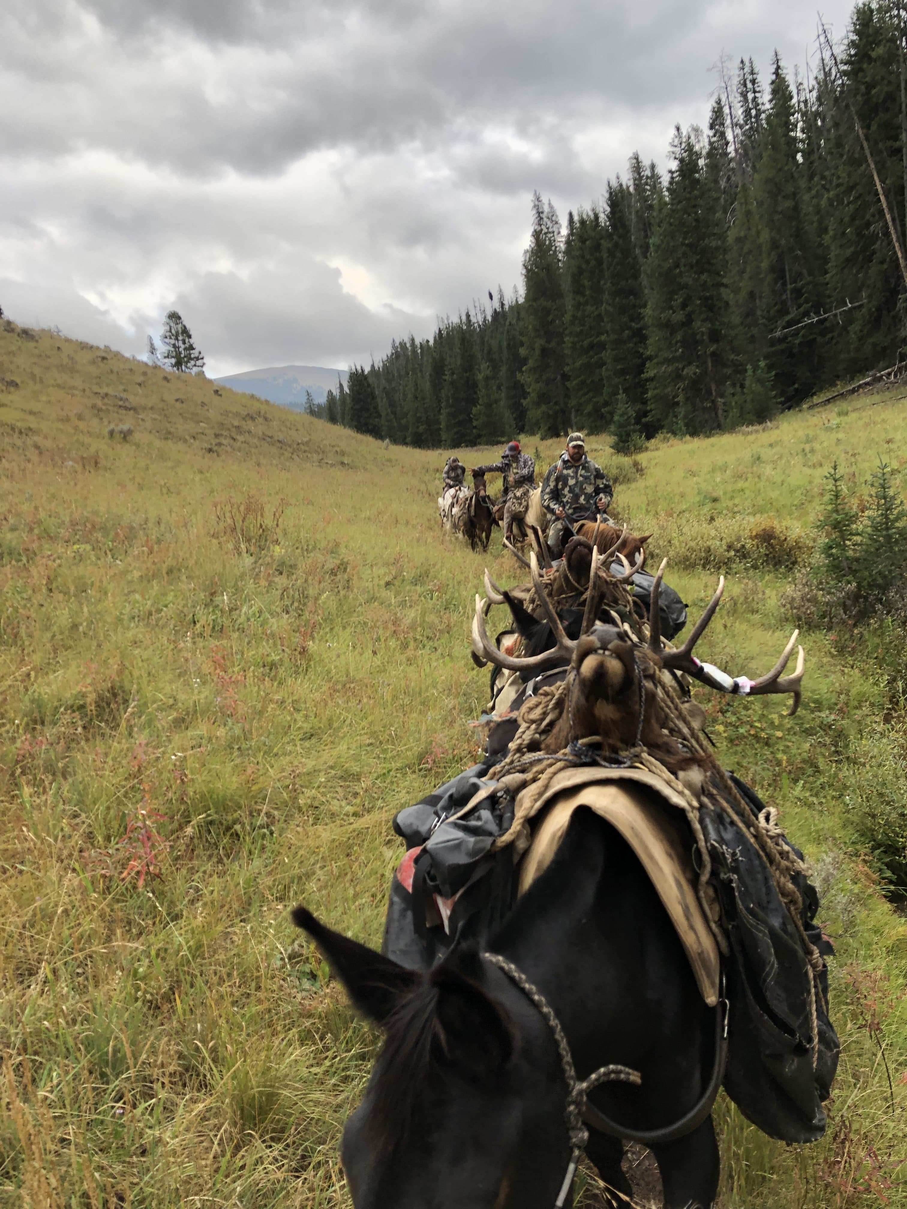 Sage Peak Outfitters