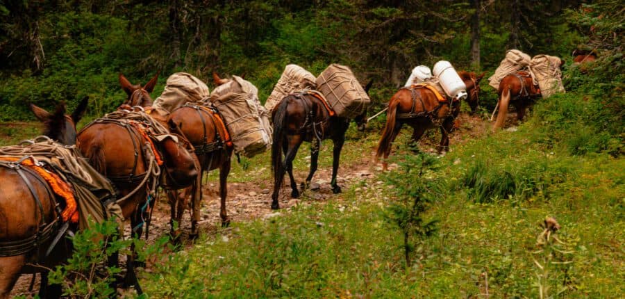 Deep Creek Outfitters
