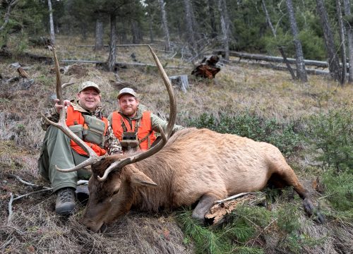 Elk Guide Planning For Next Season